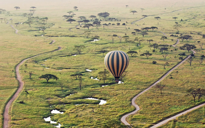 Soar Above the Wildebeest Migration