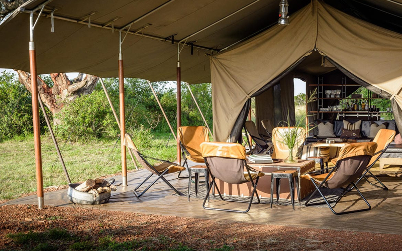 Tracking The Serengeti Wildebeest Migration