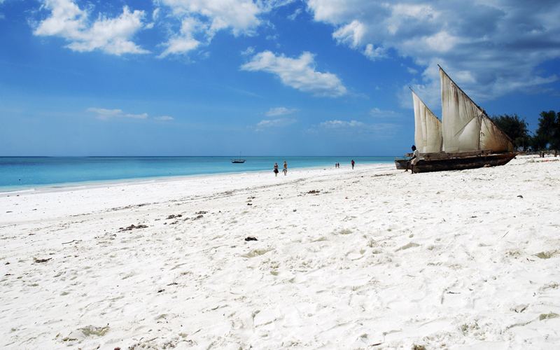 Zanzibar 2025: Top Culinary Experiences by the Beach