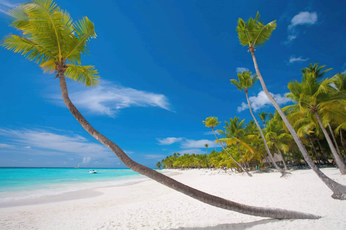 Zanzibar-2025-Top-Culinary-Experiences-by-the-Beach Zanzibar 2025: Top Culinary Experiences by the Beach