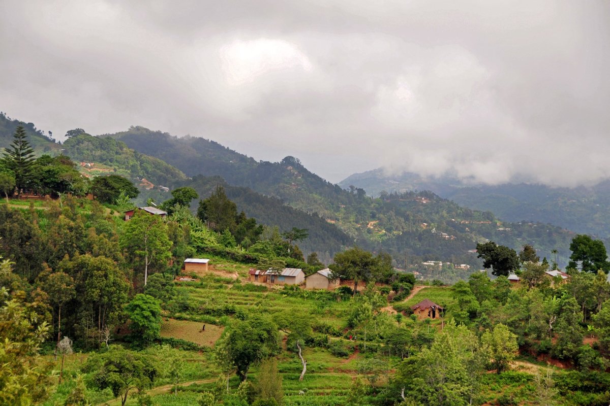 Cultural Encounters: Visiting the Chagga Villages Near Kilimanjaro