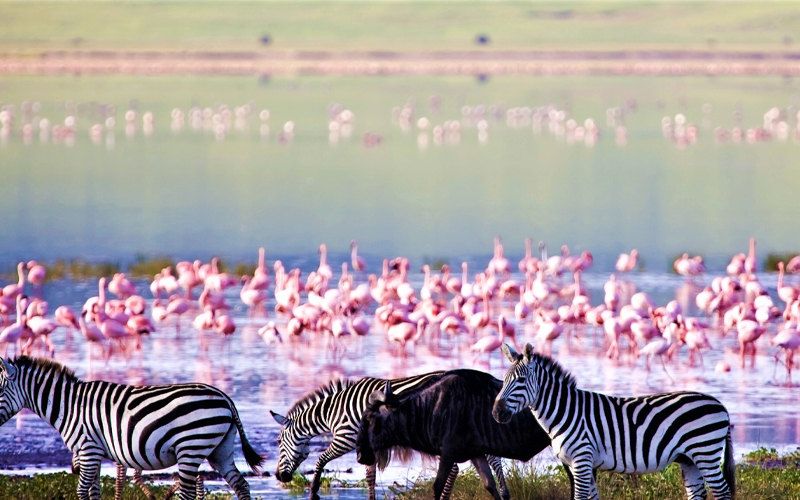 Tanzania Surpasses Tourism Targets: What This Means for Your 2025 Safari