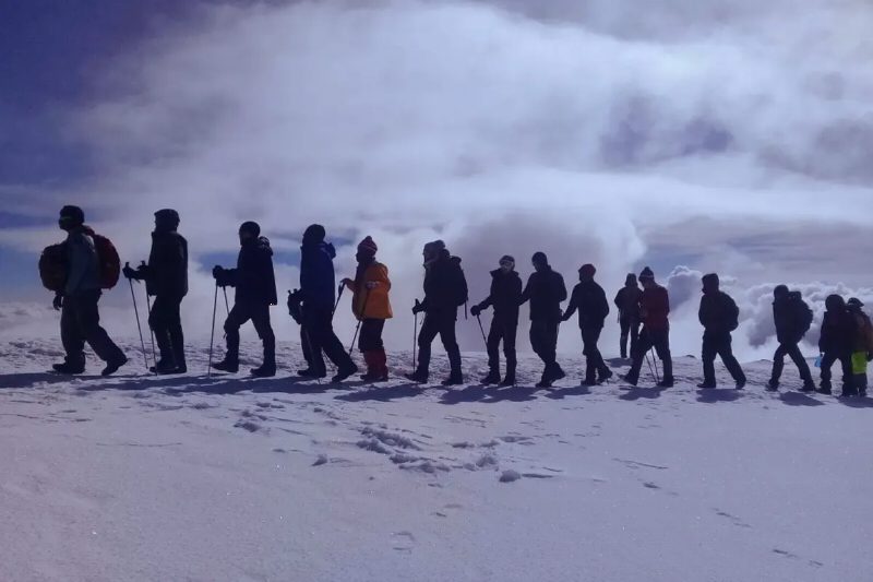 A long line of climbers crossing deep snow on Kilimanjaro's upper slopes under a pale, misty sky.