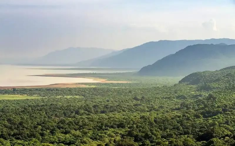 Lake Eyasi seen from the escarpment, the water pale in the haze beyond green woodland.