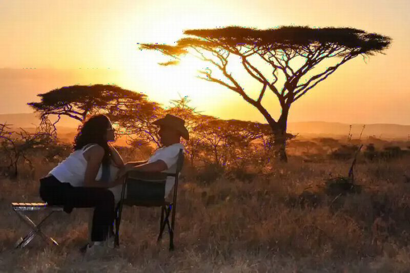 A couple sitting in camp chairs under an acacia, watching the sun go down.