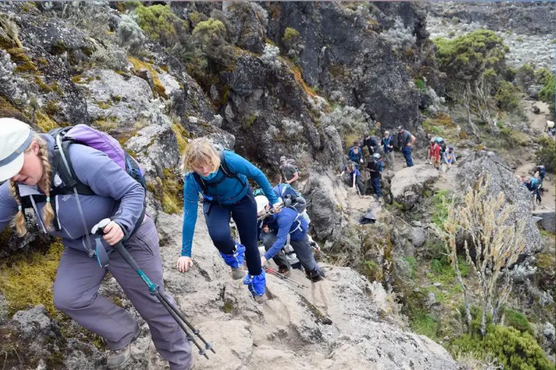 Climbers scrambling up a steep rock step, using their hands and poles.