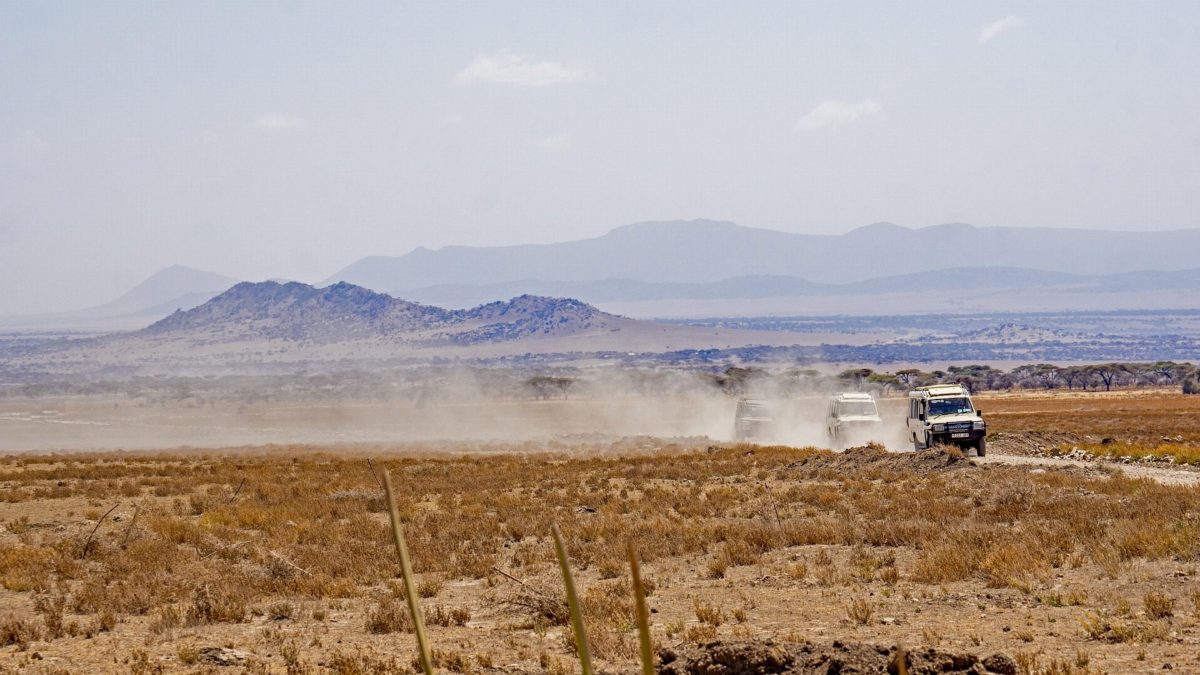 Safari vehicles trailing dust along a track across a wide, dry plain.