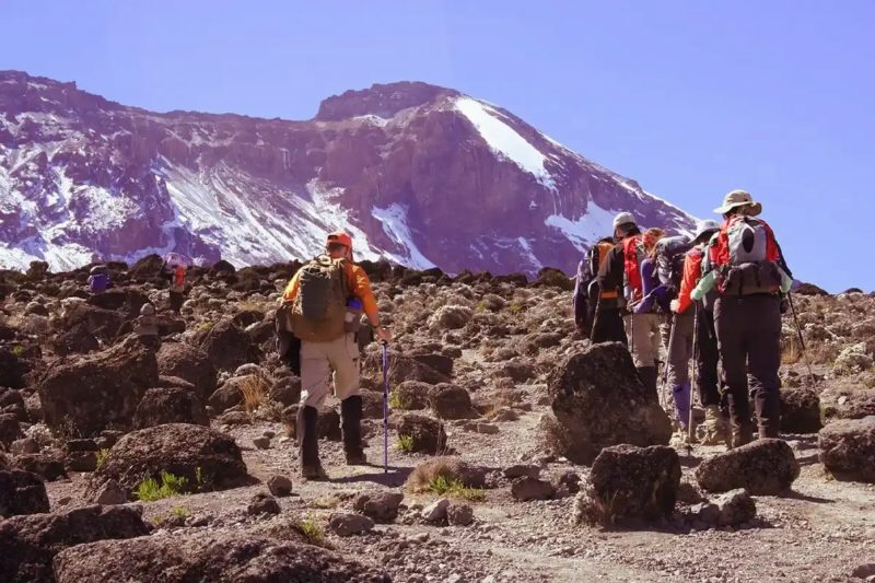 Trekkers picking their way across dark volcanic rock toward Kibo's snow-streaked summit.