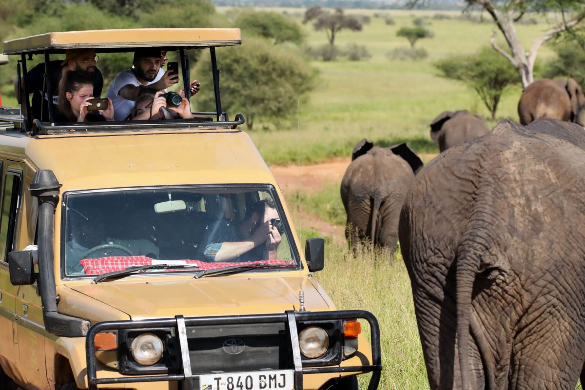 Travellers standing in an open-roof vehicle, photographing elephants a few metres away.